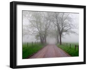 Sparks Lane on Foggy Morning, Cades Cove, Great Smoky Mountains National Park, Tennessee, USA-Adam Jones-Framed Premium Photographic Print