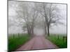 Sparks Lane on Foggy Morning, Cades Cove, Great Smoky Mountains National Park, Tennessee, USA-Adam Jones-Mounted Premium Photographic Print