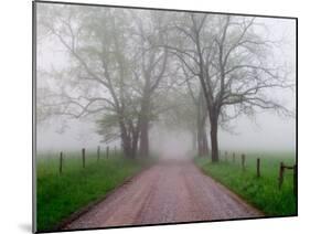 Sparks Lane on Foggy Morning, Cades Cove, Great Smoky Mountains National Park, Tennessee, USA-Adam Jones-Mounted Premium Photographic Print