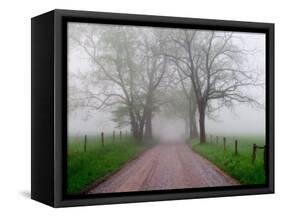 Sparks Lane on Foggy Morning, Cades Cove, Great Smoky Mountains National Park, Tennessee, USA-Adam Jones-Framed Stretched Canvas