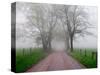 Sparks Lane on Foggy Morning, Cades Cove, Great Smoky Mountains National Park, Tennessee, USA-Adam Jones-Stretched Canvas