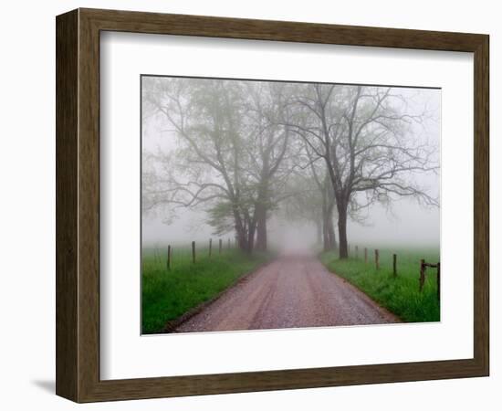 Sparks Lane on Foggy Morning, Cades Cove, Great Smoky Mountains National Park, Tennessee, USA-Adam Jones-Framed Photographic Print