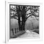 Sparks Lane-Nicholas Bell-Framed Photographic Print