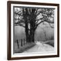 Sparks Lane-Nicholas Bell-Framed Photographic Print