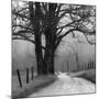 Sparks Lane-Nicholas Bell-Mounted Photographic Print