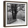 Sparks Lane-Nicholas Bell-Framed Photographic Print