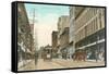 Sparks Street, Ottawa, Canada-null-Framed Stretched Canvas