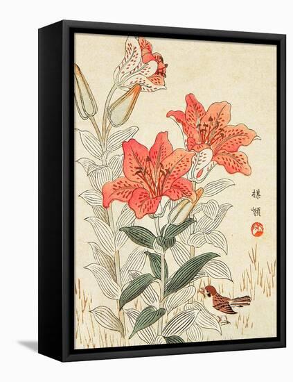 Sparrow and Tiger Lilies-Bairei Kono-Framed Stretched Canvas