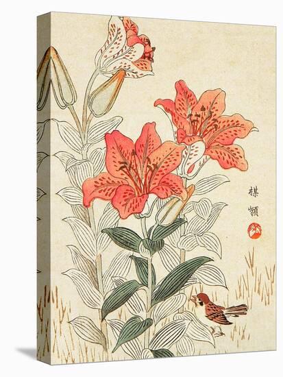 Sparrow and Tiger Lilies-Bairei Kono-Stretched Canvas