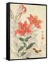 Sparrow and Tiger Lilies-Bairei Kono-Framed Stretched Canvas