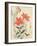 Sparrow and Tiger Lilies-Bairei Kono-Framed Giclee Print