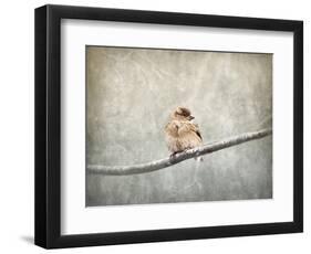 Sparrow Braving the Cold-Jai Johnson-Framed Giclee Print