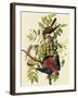 Sparrow Hawks-John James Audubon-Framed Giclee Print