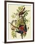 Sparrow Hawks-John James Audubon-Framed Giclee Print