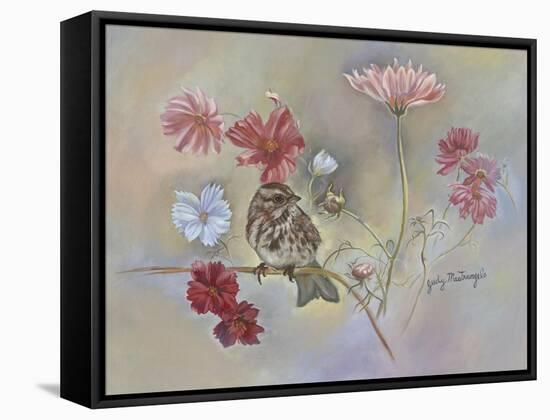 Sparrow in Cosmos Flowers-Judy Mastrangelo-Framed Stretched Canvas