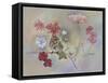 Sparrow in Cosmos Flowers-Judy Mastrangelo-Framed Stretched Canvas