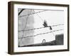 Sparrow Landing on Barbed Wire Atop the Berlin Wall-Paul Schutzer-Framed Photographic Print