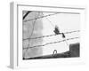 Sparrow Landing on Barbed Wire Atop the Berlin Wall-Paul Schutzer-Framed Photographic Print