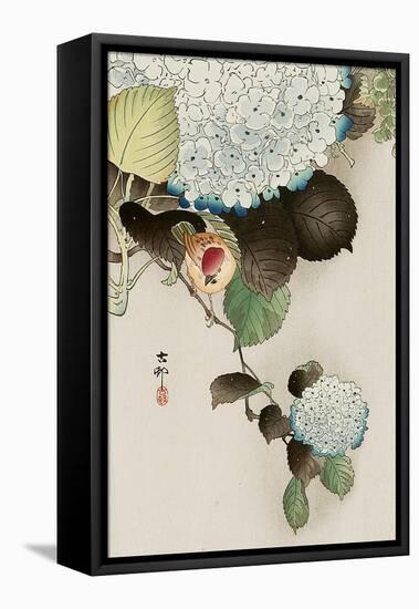 Sparrow on Hydrangea-Koson Ohara-Framed Stretched Canvas