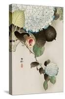 Sparrow on Hydrangea-Koson Ohara-Stretched Canvas