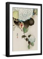 Sparrow on Hydrangea-Koson Ohara-Framed Premium Giclee Print