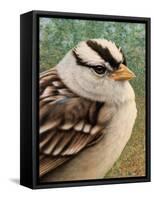 Sparrow-James W. Johnson-Framed Stretched Canvas