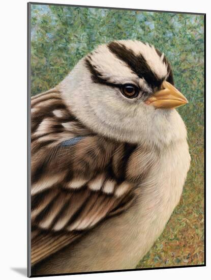 Sparrow-James W. Johnson-Mounted Giclee Print