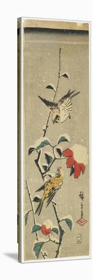 Sparrows and Snowy Camellia, 1837-1848-Utagawa Hiroshige-Stretched Canvas