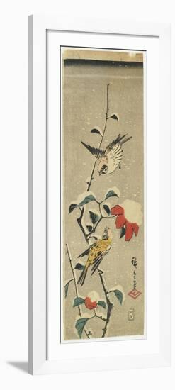 Sparrows and Snowy Camellia, 1837-1848-Utagawa Hiroshige-Framed Giclee Print