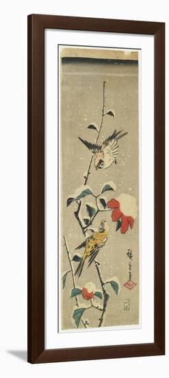 Sparrows and Snowy Camellia, 1837-1848-Utagawa Hiroshige-Framed Giclee Print