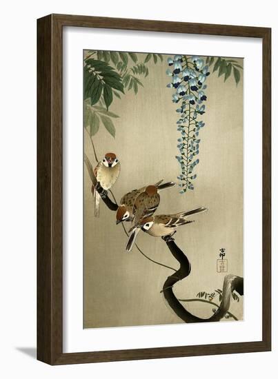 Sparrows and Wisteria-Koson Ohara-Framed Giclee Print