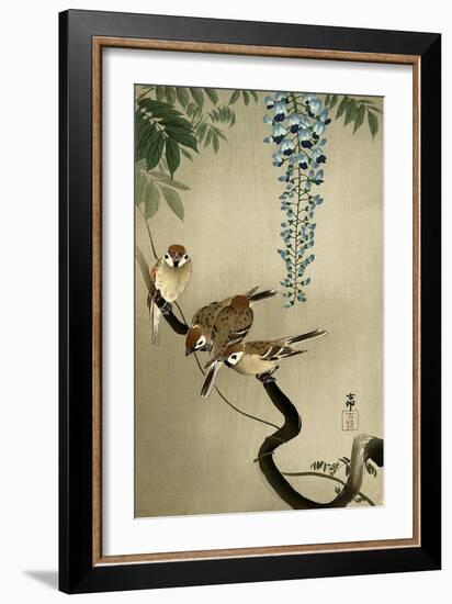 Sparrows and Wisteria-Koson Ohara-Framed Giclee Print