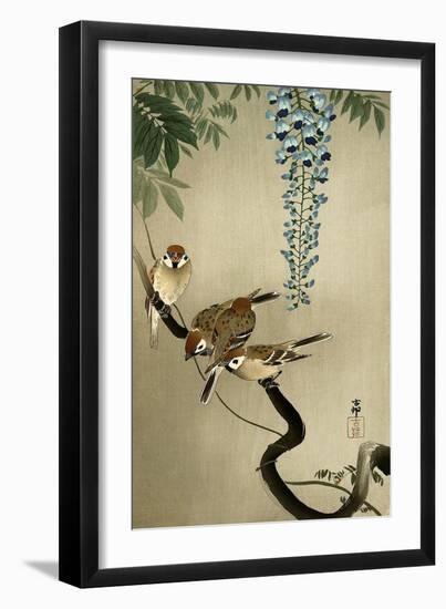 Sparrows and Wisteria-Koson Ohara-Framed Giclee Print