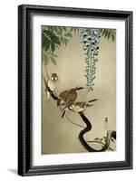 Sparrows and Wisteria-Koson Ohara-Framed Giclee Print