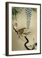 Sparrows and Wisteria-Koson Ohara-Framed Giclee Print