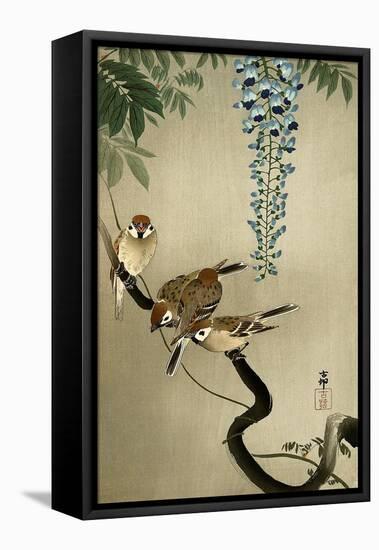 Sparrows and Wisteria-Koson Ohara-Framed Stretched Canvas