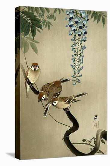 Sparrows and Wisteria-Koson Ohara-Stretched Canvas
