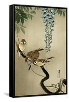 Sparrows and Wisteria-Koson Ohara-Framed Stretched Canvas