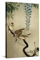 Sparrows and Wisteria-Koson Ohara-Stretched Canvas