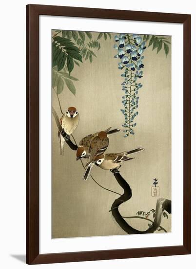 Sparrows and Wisteria-Koson Ohara-Framed Giclee Print