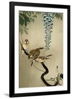 Sparrows and Wisteria-Koson Ohara-Framed Giclee Print