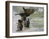 Sparrows Bathe in Puddles at the Moscow Red Square-null-Framed Photographic Print