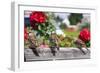 Sparrows in a Garden-Felipe Rodríguez-Framed Photographic Print