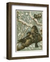 Sparrows in the Snow-English School-Framed Giclee Print