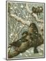 Sparrows in the Snow-English School-Mounted Giclee Print