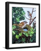 Sparrows Nest-null-Framed Giclee Print