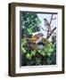 Sparrows Nest-null-Framed Premium Giclee Print