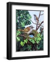 Sparrows Nest-null-Framed Premium Giclee Print