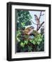 Sparrows Nest-null-Framed Premium Giclee Print