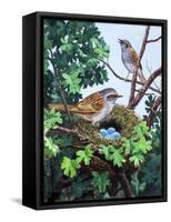 Sparrows Nest-null-Framed Stretched Canvas